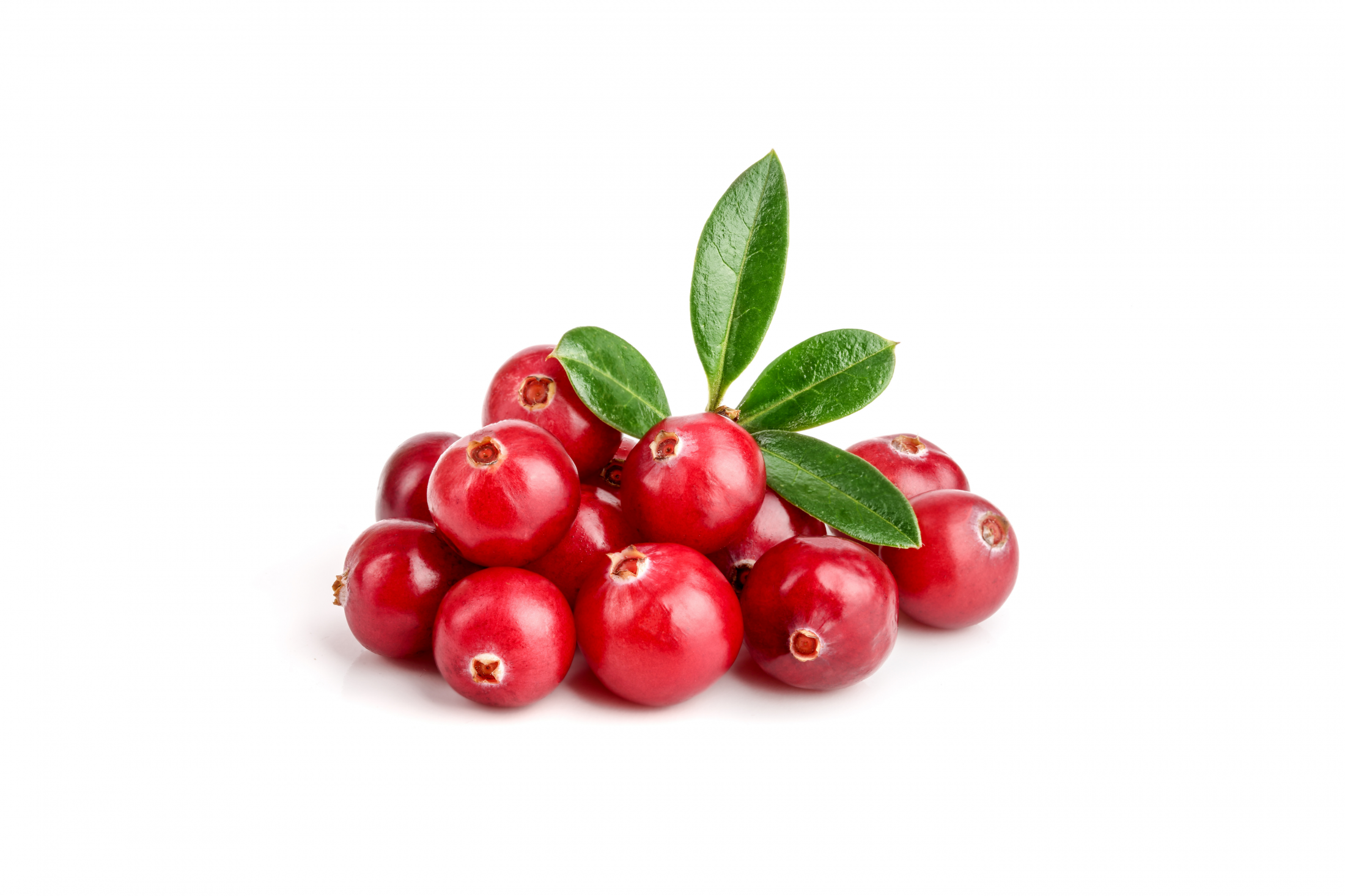 Żurawina Liofilizowana